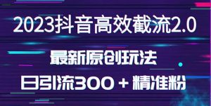 日引300＋创业粉，独家抖音高效截流2.0玩法（价值1280）-副业宇宙