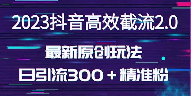 日引300＋创业粉，独家抖音高效截流2.0玩法（价值1280）-副业宇宙