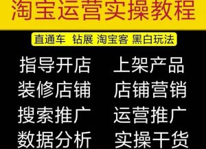 2023淘宝开店教程0基础到高级全套视频网店电商运营培训教学课程-副业宇宙