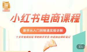 小红书电商新手入门到精通实操课,从入门到精通做爆款笔记,开店运营-副业宇宙