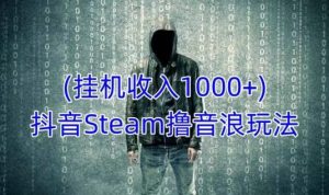 抖音Steam撸音浪玩法，挂机一天收入1000+不露脸 不说话 不封号 社恐人群福音-副业宇宙