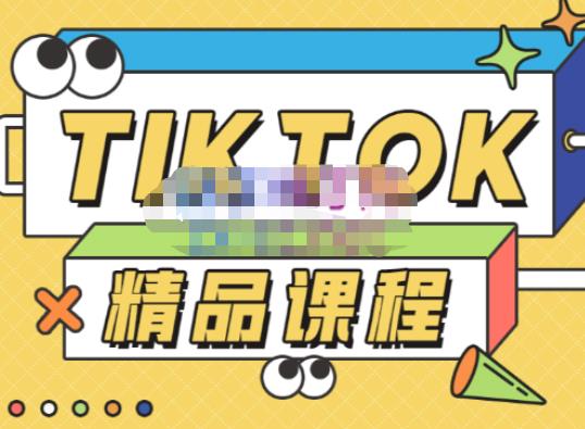 电商孵化中心·TikTok精品课程，教你玩转海外抖音，低成本创业，带您从0开始玩转TikTok-副业宇宙