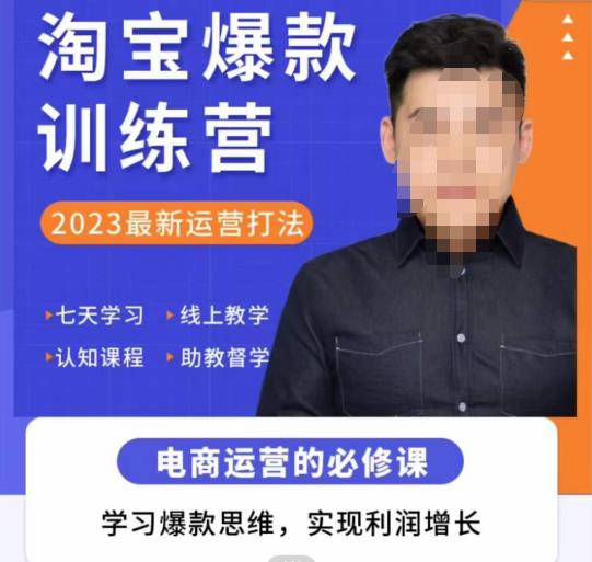 爱上黄昏·淘宝爆款训练营，2023最新运营打法，学习爆款思维，实现利润增长-副业宇宙