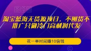 淘宝蓝海无货源项目，不囤货不推广只做冷门高利润代发，花一半时间赚10倍钱-副业宇宙