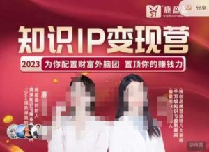 鹿盈盈-知识IP变现实操营,普通人可复制的知识产品落地实操课,带你打通知识IP变现底层逻辑-副业宇宙