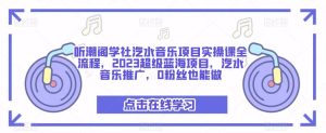 听潮阁学社汽水音乐项目实操课全流程,2023超级蓝海项目,汽水音乐推广,0粉丝也能做-副业宇宙