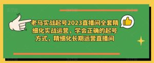 老马实战起号2023直播间全套精细化实战运营,学会正确的起号方式,精细化长期运营直播间-副业宇宙