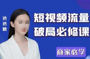 2023最新透糖短视频流量破局必修课——商家必学-副业宇宙