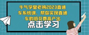 牛气学堂老衲2023直通车系统课,帮你实现直通车的低花费高产出-副业宇宙
