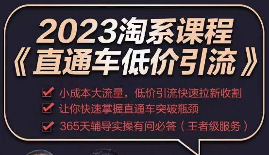 2023直通车低价引流玩法课程，小成本大流量，低价引流快速拉新收割，让你快速掌握直通车突破瓶颈-副业宇宙