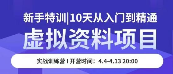 虚拟资料项目新手特训，10天从入门到精通，保姆级实操教学-副业宇宙