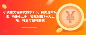 小说推文保姆式教学2.0，另类进阶玩法，0基础上手，轻松月撸1w无上限，可主可副可兼职-副业宇宙