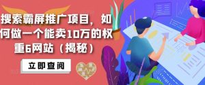搜索霸屏推广项目，如何做一个能卖10万的权重6网站（揭秘）-副业宇宙