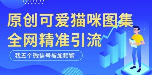 黑科技纯原创可爱猫咪图片,全网精准引流,实操5个VX号被加频繁-副业宇宙