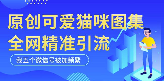 黑科技纯原创可爱猫咪图片，全网精准引流，实操5个VX号被加频繁-副业宇宙