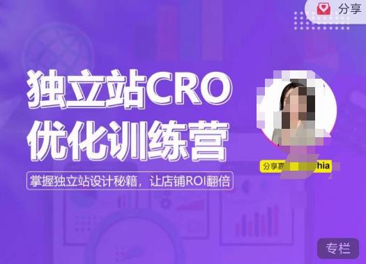 独立站CRO优化训练营，掌握独立站设计秘籍，打造高转化的独立站，让店铺ROI翻倍-副业宇宙
