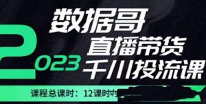 数据哥2023直播电商巨量千川付费投流实操课，快速掌握直播带货运营投放策略-副业宇宙