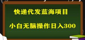 2023最新蓝海快递代发项目,小白零成本照抄也能日入300+-副业宇宙