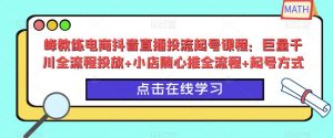 峰教练电商抖音直播投流起号课程:巨量千川全流程投放+小店随心推全流程+起号方式-副业宇宙
