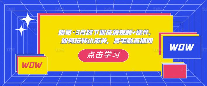 哈哥·3月线下实操课高清视频+课件，如何玩转小而美，高毛利直播间-副业宇宙