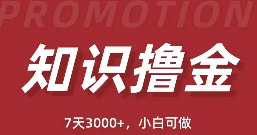 抖音知识撸金项目：简单粗暴日入1000+执行力强当天见收益(教程+资料)-副业宇宙
