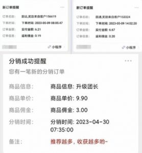 快递代发CPS,月入万元,不起眼却很赚钱的信息差项目【揭秘】-副业宇宙