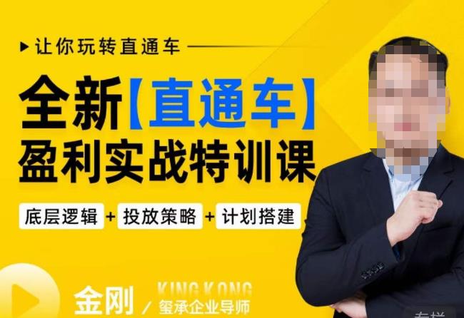 玺承·全新直通车盈利实战特训课，从​底层逻辑详细拆解，从底层，策略到搭建，让你玩转直通车-副业宇宙