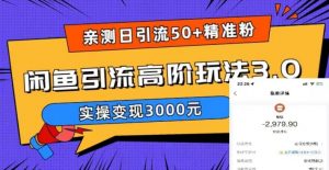 亲测日引50+精准粉，闲鱼引流高阶玩法3.0，实操变现3000元【揭秘】-副业宇宙