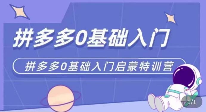 拼多多运营0-1实操特训营，拼多多0基础入门，从基础到进阶的可实操玩法-副业宇宙