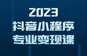 2023年抖音小程序变现保姆级教程,0粉丝新号,无需实名,3天起号,第1条视频就有收入-副业宇宙