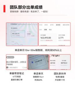2023小红书电商火爆全网，新晋红利，风口项目，单店收益在3000-30000！-副业宇宙