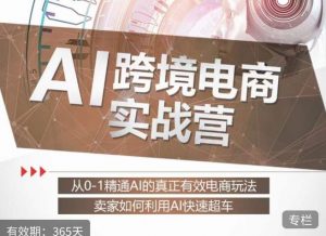 白龙老师·AI跨境电商实战营：从0-1精通Al的真正有效电商玩法，卖家如何利用Al快速超车-副业宇宙