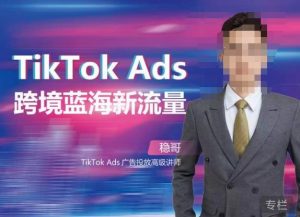 稳哥·如何投出高ROI的TikTok广告，开拓独立站卖家流量新蓝海-副业宇宙