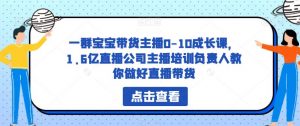 一群宝宝带货主播0-10成长课，1.6亿直播公司主播培训负责人教你做好直播带货-副业宇宙