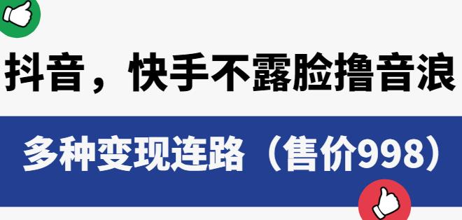 抖音快手不露脸撸音浪项目，多种变现连路（售价998）-副业宇宙