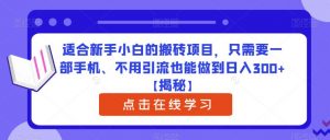 适合新手小白的搬砖项目，只需要一部手机、不用引流也能做到日入300+【揭秘】-副业宇宙