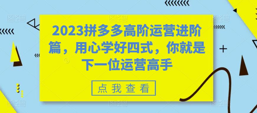 2023拼多多高阶运营进阶篇，用心学好四式，你就是下一位运营高手-副业宇宙