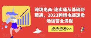 跨境电商-速卖通从基础到精通，2023跨境电商速卖通运营全流程-副业宇宙