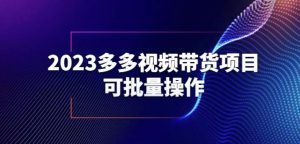 2023多多视频带货项目,可批量操作【保姆级教学】【揭秘】-副业宇宙