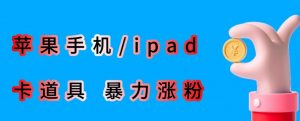 最新利用苹果手机/ipad的ios系统,卡道具搬短视频,百分百过原创-副业宇宙
