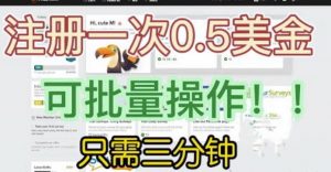 国外项目注册一次0.5美金,只需三分钟无脑操作,可批量同时放大操作,小白工作室福利【揭秘】-副业宇宙
