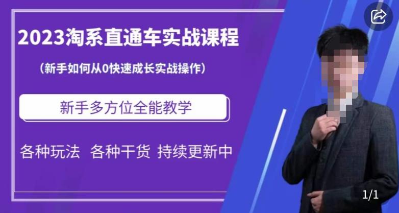 2023淘系直通车保姆式运营讲解，新手如何从0快速成长实战操作，新手多方位全能教学-副业宇宙