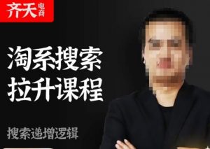 齐天电商·淘系搜索提升课程，​搜索递增标准化，动销标准化流程-副业宇宙