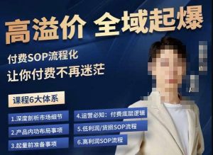 逸风-拼多多高溢价全域起爆，6大课程体系，付费玩法全套实操-副业宇宙