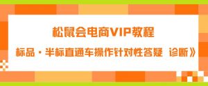 松鼠会电商VIP教程：松鼠《付费推广标品·半标直通车操作针对性答疑&诊断》-副业宇宙