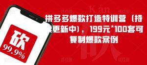 拼多多爆款打造特训营(持续更新中),199元*100套可复制爆款案例-副业宇宙
