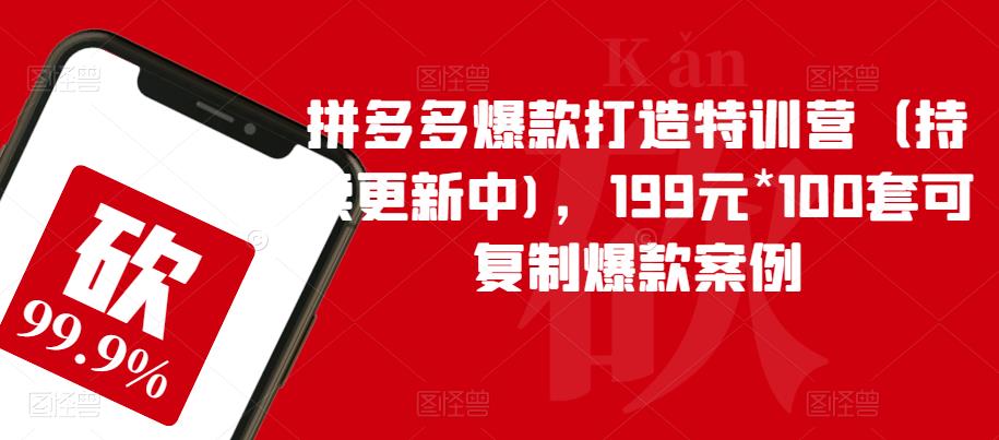 拼多多爆款打造特训营（持续更新中)，199元*100套可复制爆款案例-副业宇宙
