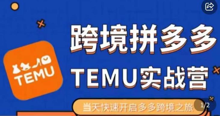 大鹏出海·拼多多跨境temu运营指导，开店注册+选品+核价上架，日出千单实战课-副业宇宙