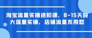 淘宝流量实操进阶课，8-15天放大流量实操，店铺流量不用愁-副业宇宙