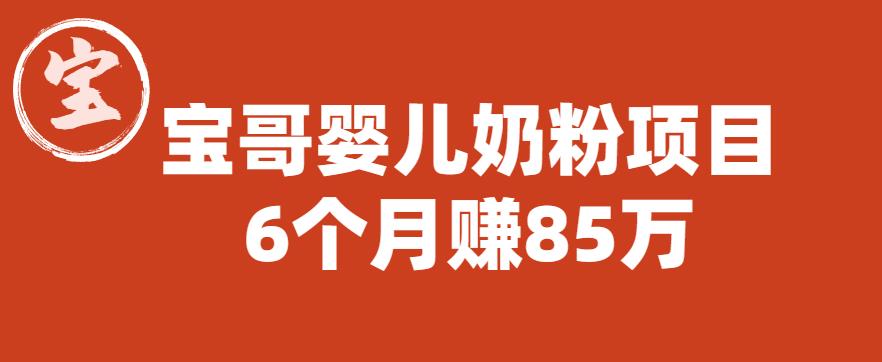 宝哥婴儿奶粉项目，6个月赚85w【图文非视频】【揭秘】-副业宇宙